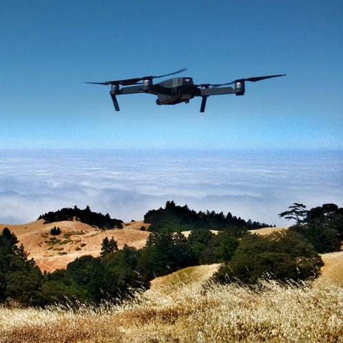 Due donne vendono fiori dai colori vivaci in un vivace mercato all'aperto.